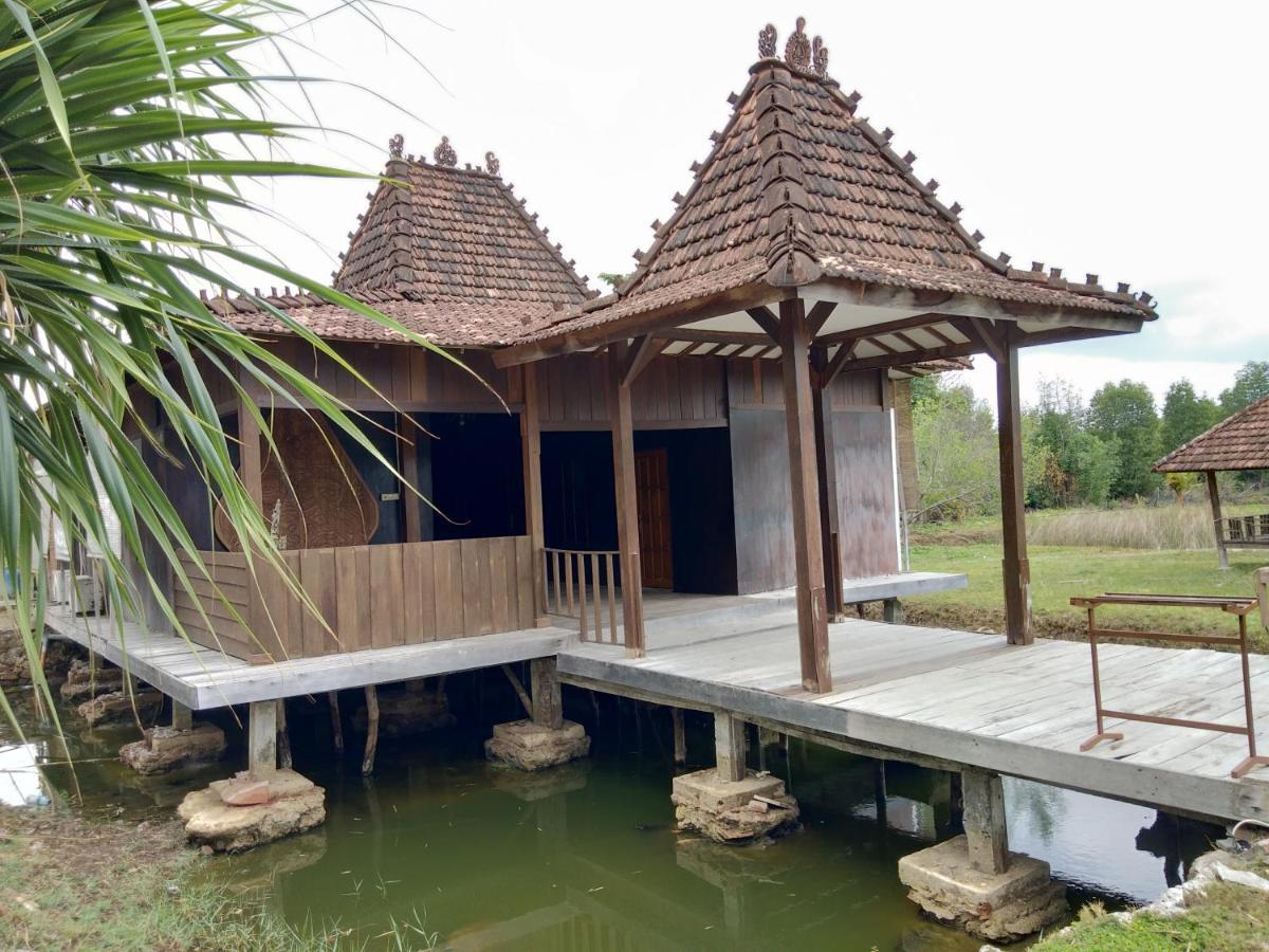 קרימונג'אווה Mangrove Inn מראה חיצוני תמונה